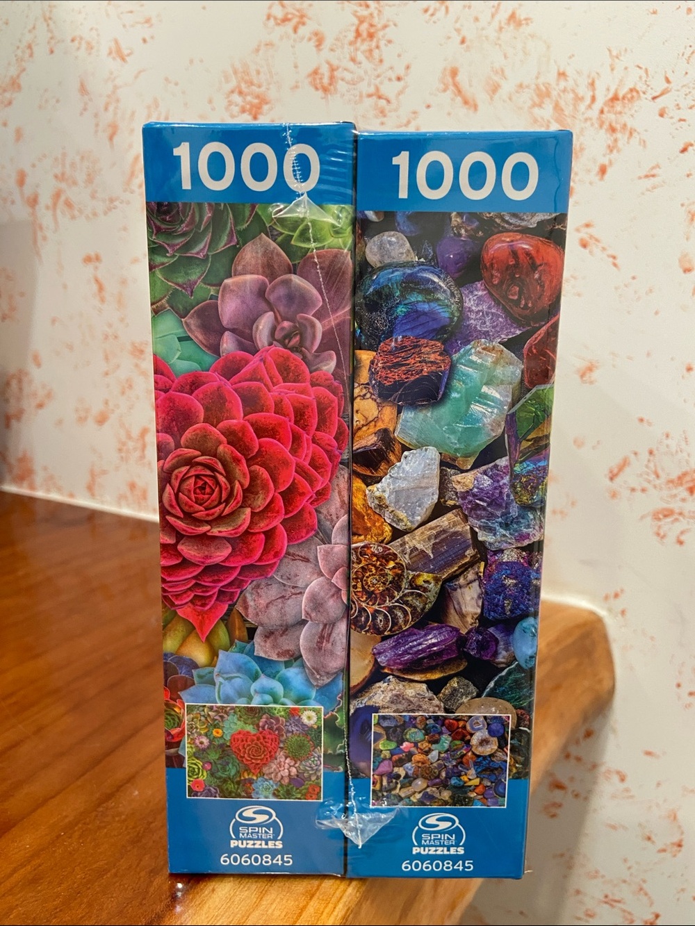 SEALED Succulent Love & Rocks and Minerals Set of 2 - 1000 Piece Puzzles